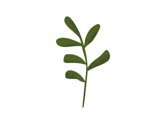 Bring Nature to Your Projects with Hand Drawn Leaves