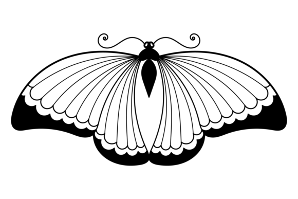 Butterfly Ink Drawing: A Decorative Elegant Font for Timeless Designs