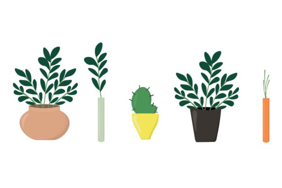 Elevate Your Projects with a Decorative Plant Illustration Vector Set