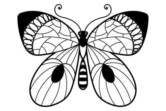 Ornate Butterfly with Decorative Pattern: Beyond the Standard Typeface